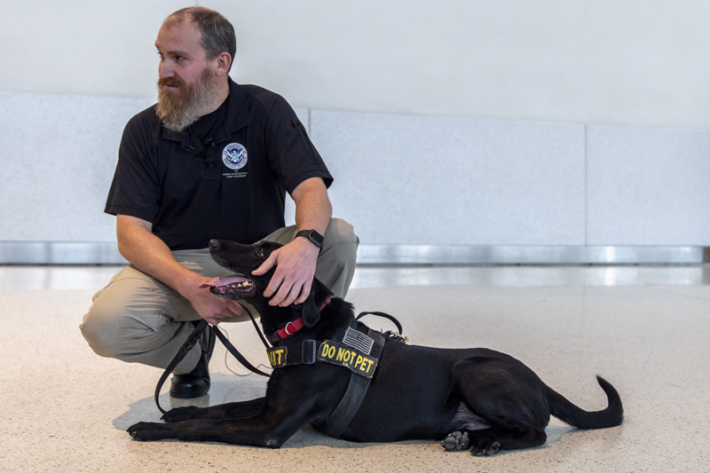 Argo the dog, a TSA calendar star, protects air travelers by sniffing